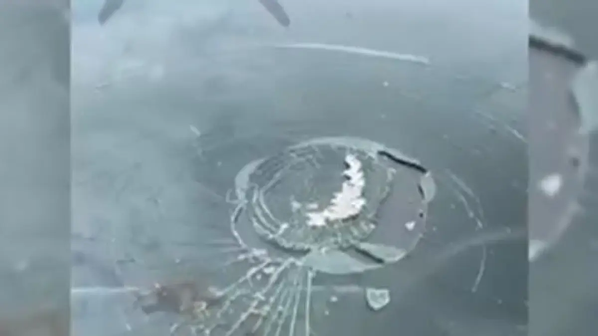 momente de panica pentru doi soti din sua un peste cazut din cer le a spart parbrizul masinii
