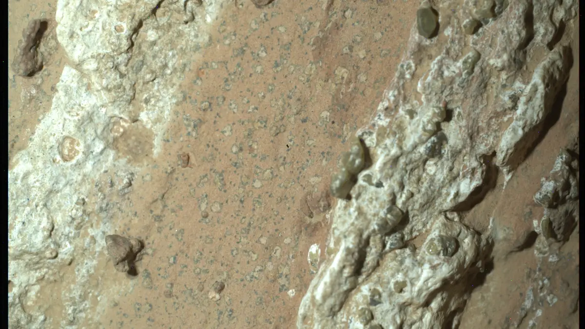 nasa a gasit o roca fascinanta pe marte contine indicii ca ar fi gazduit viata microbiana cu