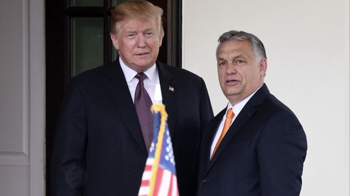 de la baile tusnad viktor orban transmite salutari din partea lui donald trump trump ante portas