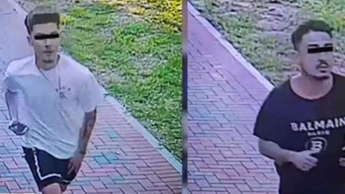 soferul fugar care a accidentat mortal un copil si a ranit grav un altul in parcarea parcului