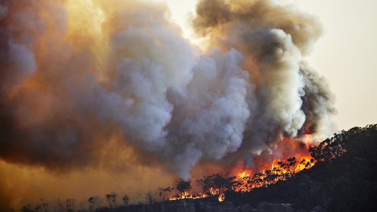 un om a murit in incendiul de vegetatie din colorado iar focul din california se extinde