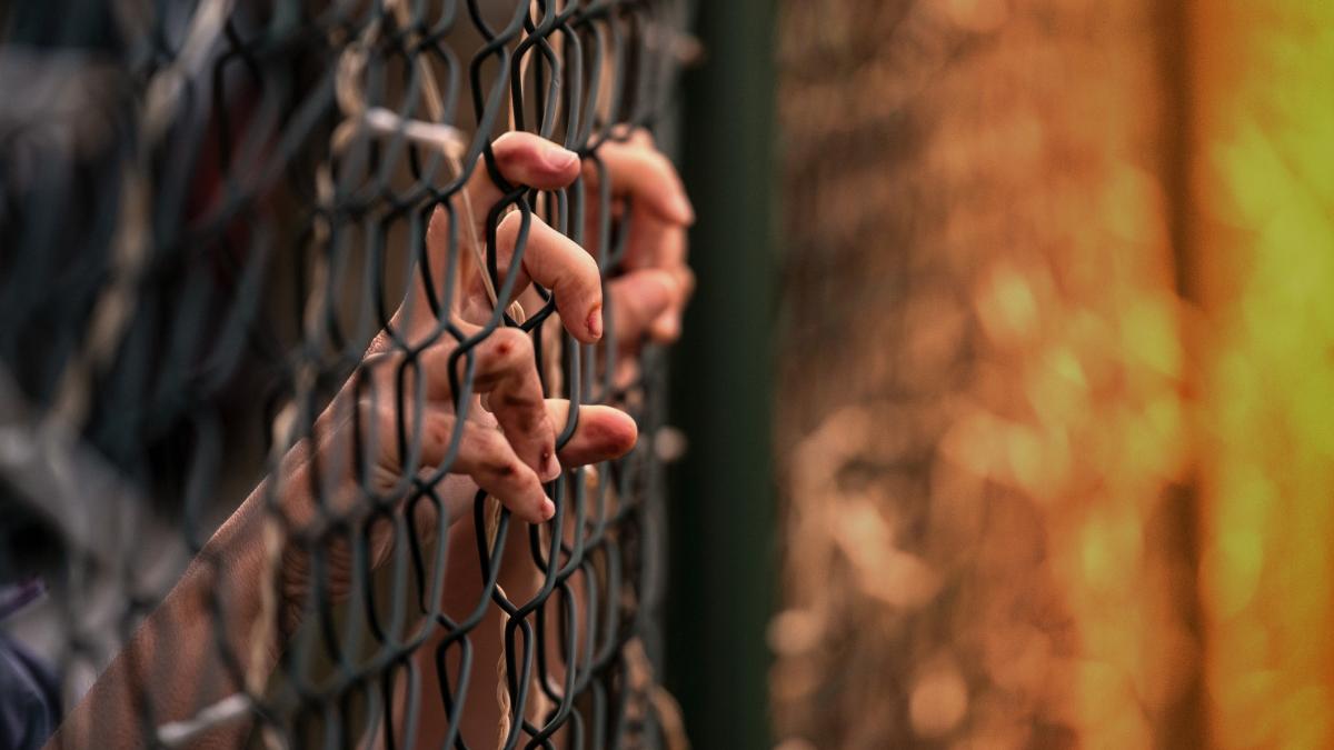 ucraina acuza fortele ruse ca au ucis si dezmembrat un prizonier de razboi l au decapitat