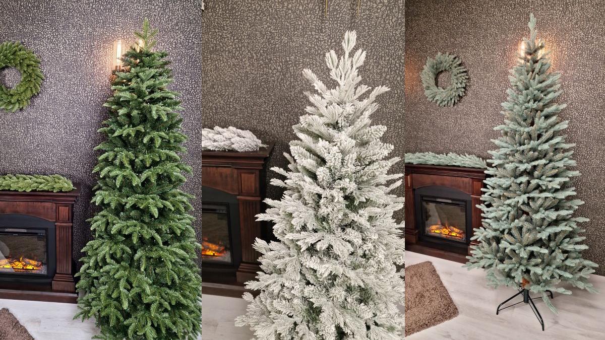 cum sa alegeti cel mai frumos brad de craciun