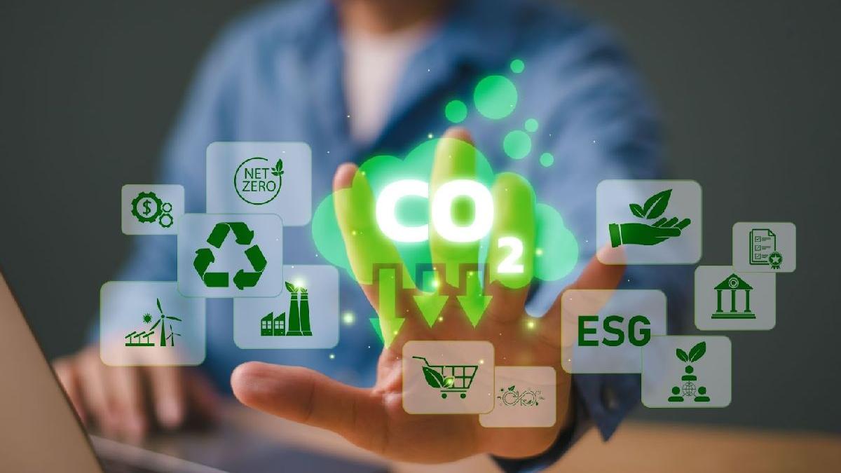 ce reprezinta amprenta de carbon si cum poate fi aceasta redusa