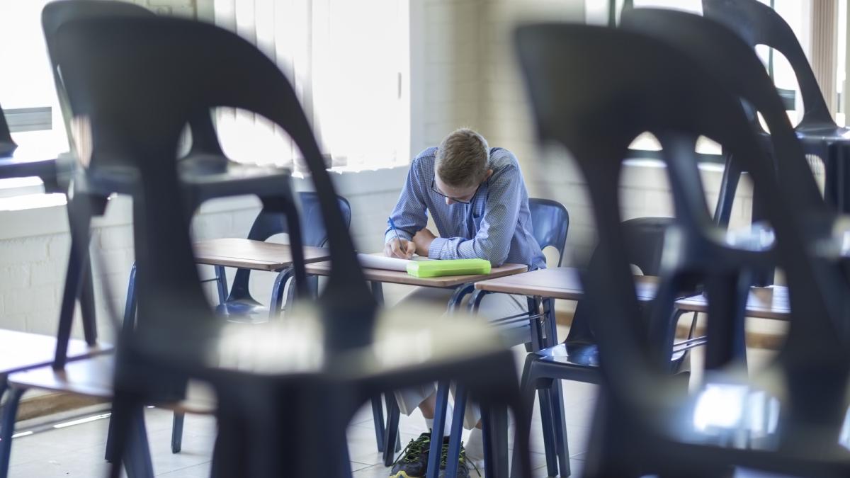 ligia deca spune ca salile de detentie pentru elevi sunt o optiune nu o obligatie