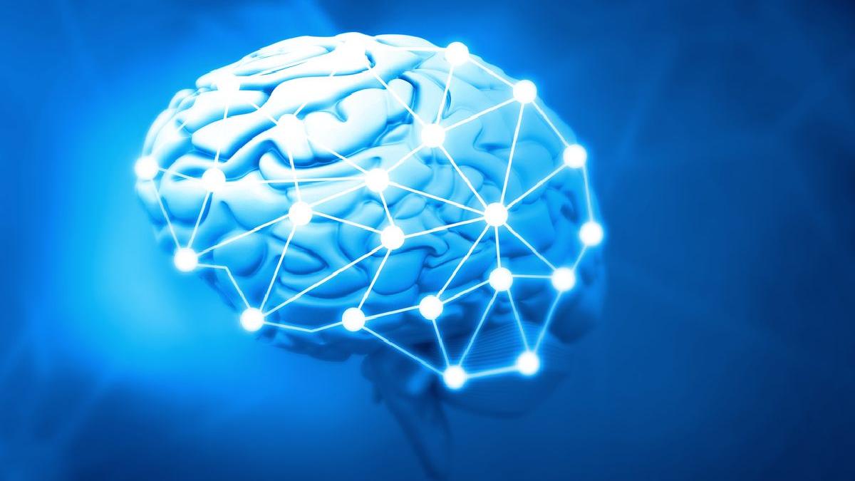 brainmap