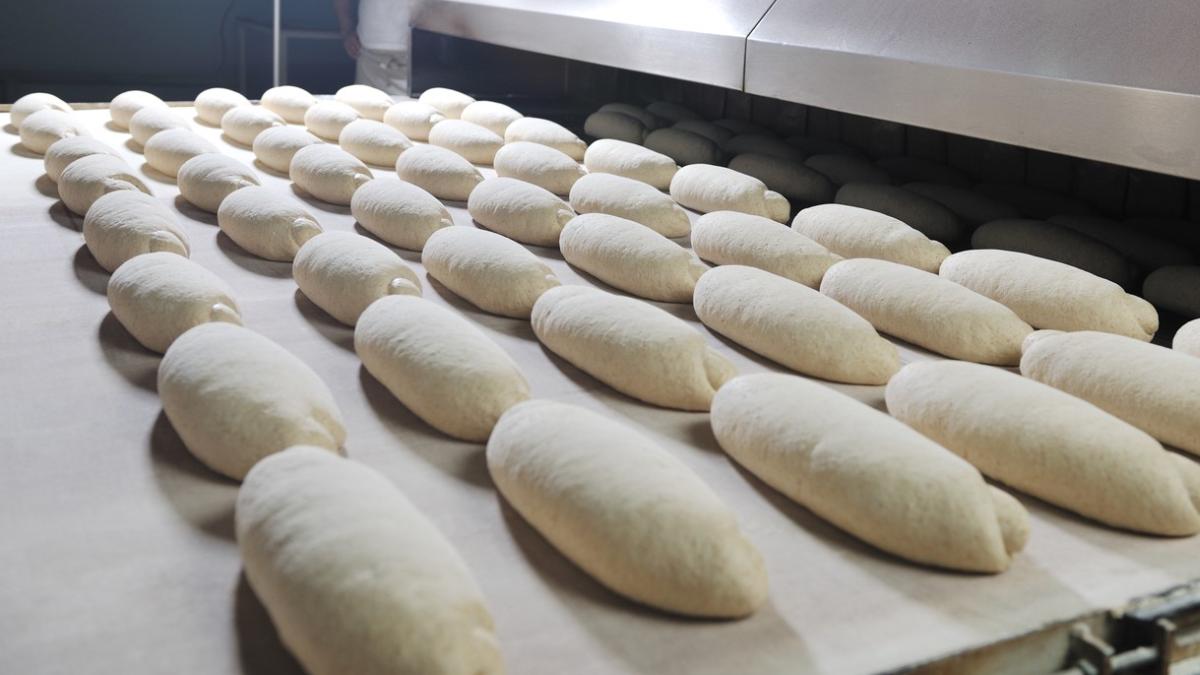 un tanar a murit in camera de racire a preparatelor de la o fabrica de paine din tulcea au trecut ore intregi pana sa fie gasit