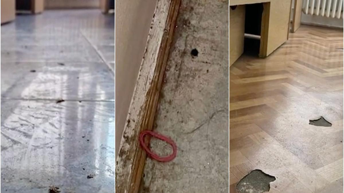 camine studentesti cu gandaci tencuiala cazuta si mobila veche deca si a adus aminte la finalul verii ca nu are bani de renovari