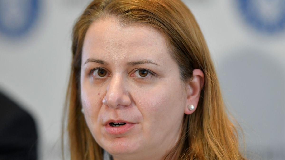 ligia deca cadrul de competente digitale pentru elevi a fost lansat in consultare publica