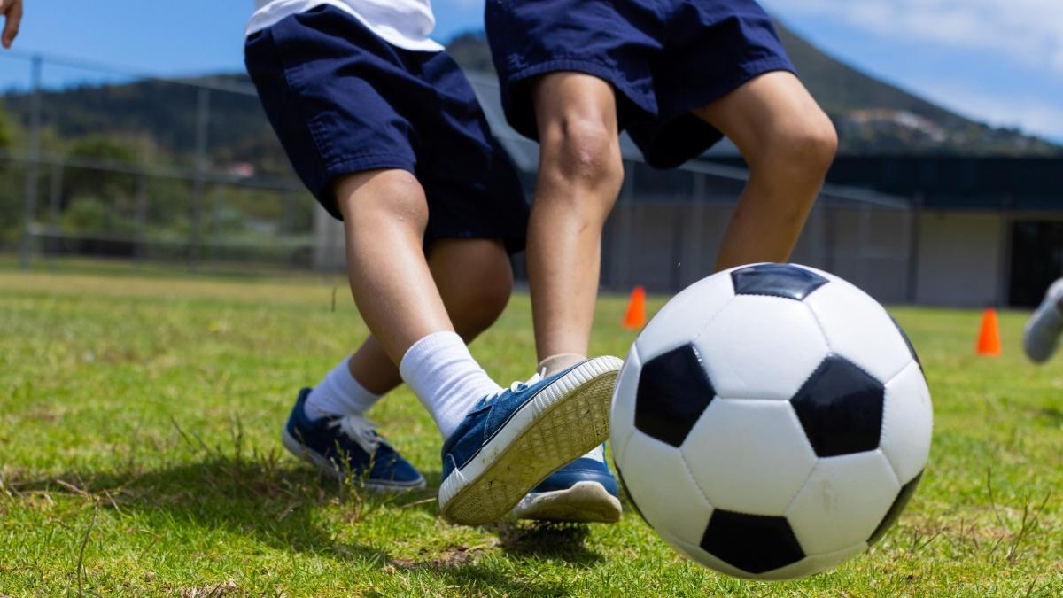 ministerul educatiei ii raspunde lui ciolacu elevii sportivi vor primi in continuare burse de merit