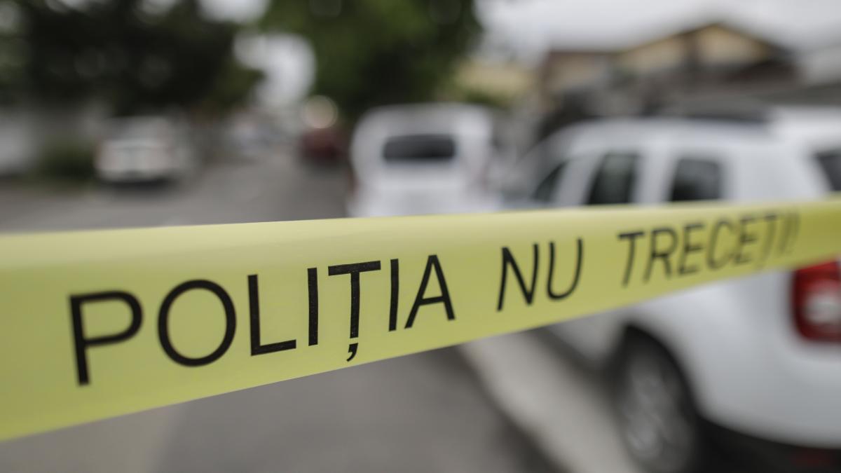 o adolescenta a sunat la 112 si a anuntat ca mama sa i a ucis fratii si i a ingropat in curte femeia voia sa si omoare si fiica