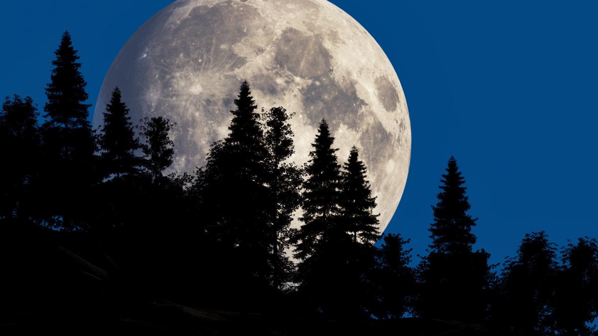 superluna albastra cea mai mare si stralucitoare luna plina din 2024 va lumina cerul noptii saptamana viitoare