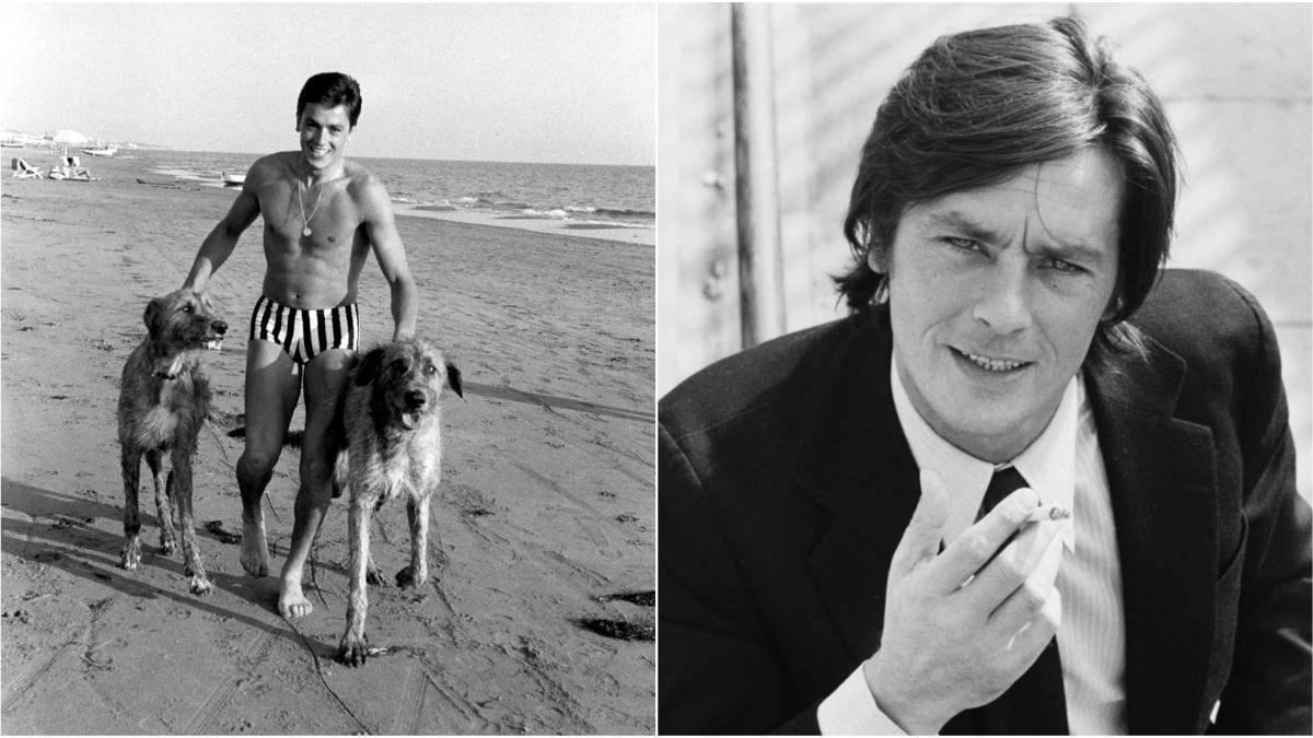 alain delon a cerut sa fie inmormantat langa cainii sai in curtea actorului sunt ingropate peste 50 de animale