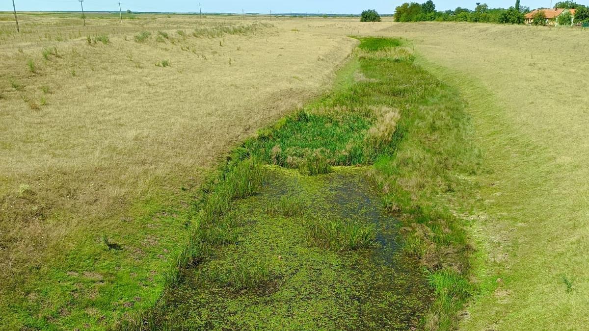 apa cu ratia in peste 600 de localitati din romania seceta prelungita a secat fantani in 12 judete