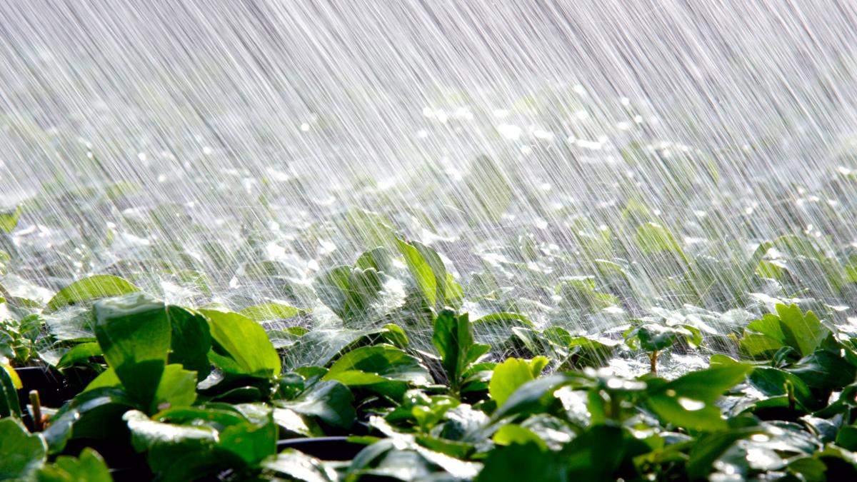 ministrul agriculturii florin barbu in romania se lucreaza acum la o racheta care sa aduca ploaia