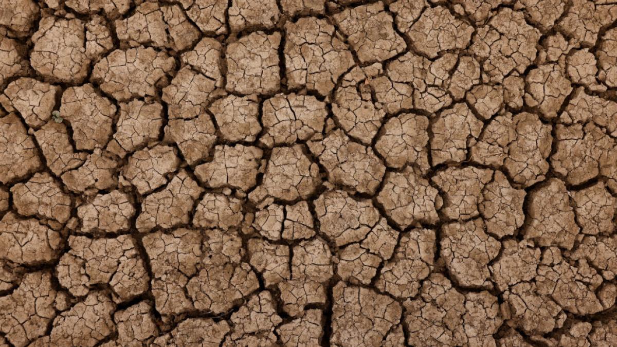 in spania se sta la coada la apa de baut au fost interzise umplerea piscinelor udatul gradinilor si spalatul masinilor