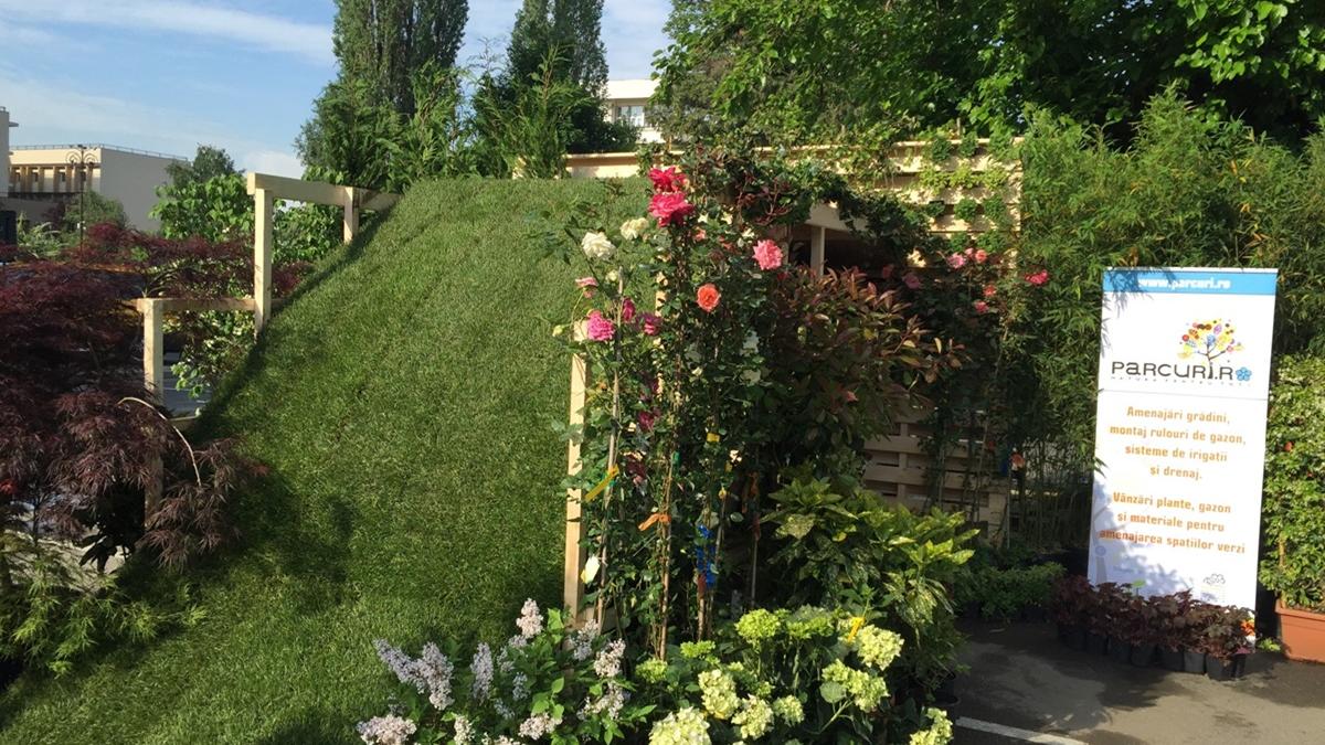 cum sa ai grija de gradina ta sfaturi pentru incepatori