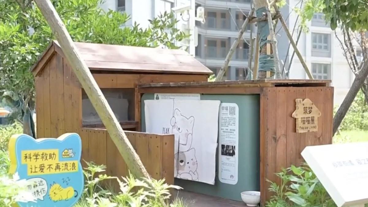 orasul din china care monteaza pe strazi case inteligente pentru pisicile fara stapan oamenii le pot mangaia online