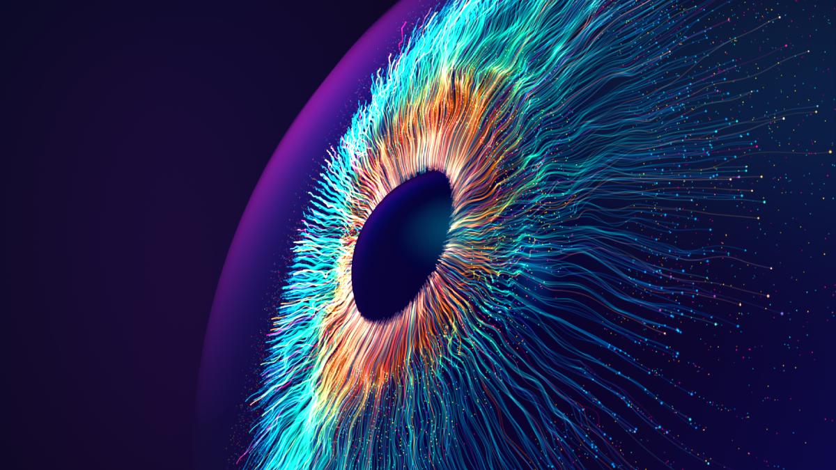 un nou algoritm ai poate prezice punctele de cotitura ale viitoarelor dezastre naturale sau financiare anunta oamenii de stiinta