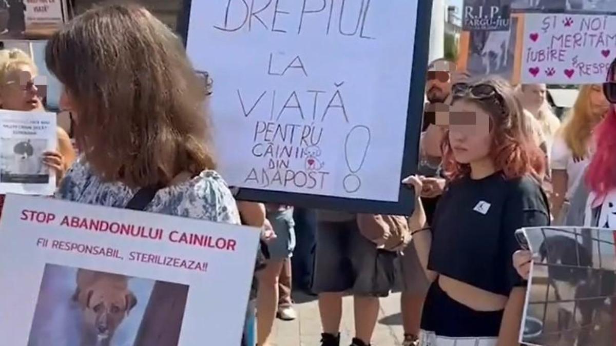 peste 500 de oameni au protestat in fata prefecturii din targu jiu dupa ce au fost ucisi 60 de caini din adapostul public