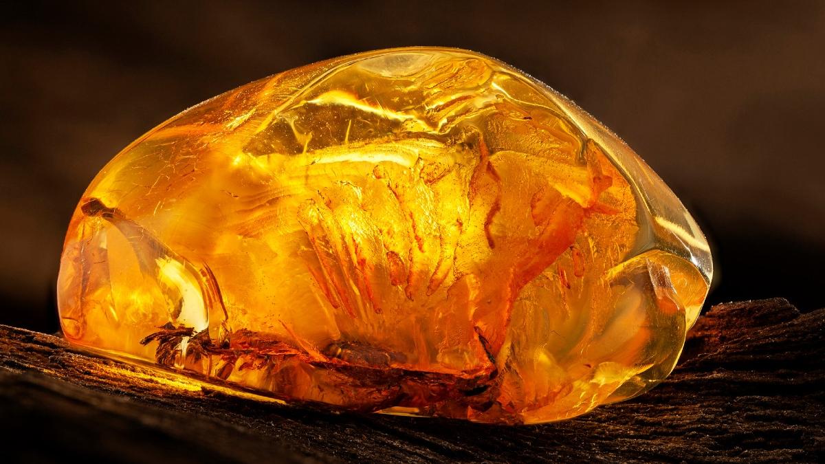 orasul din romania care a intrat in cartea recordurilor cu cea mai mare bucata de chihlimbar din lume are 3 5 kilograme