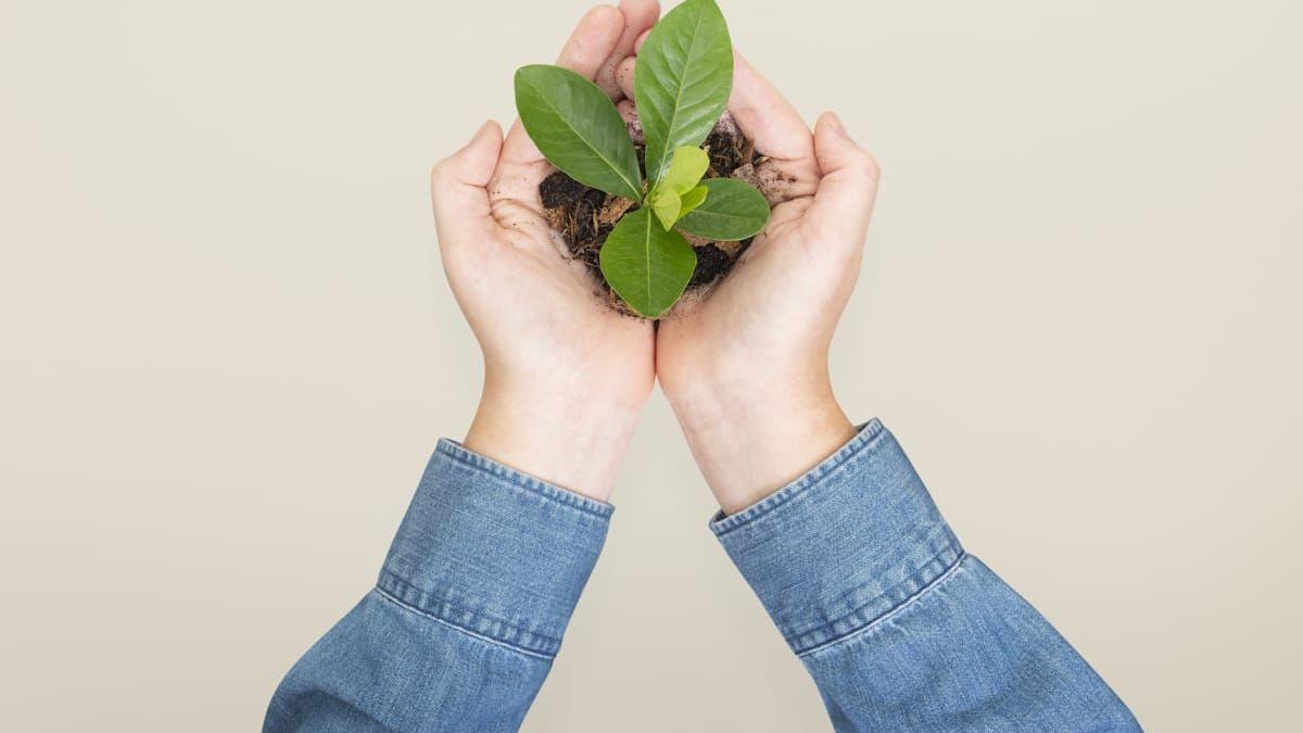 sustenabil zi de zi cum sa ai grija de mediu fara sa renunti profit sau confort