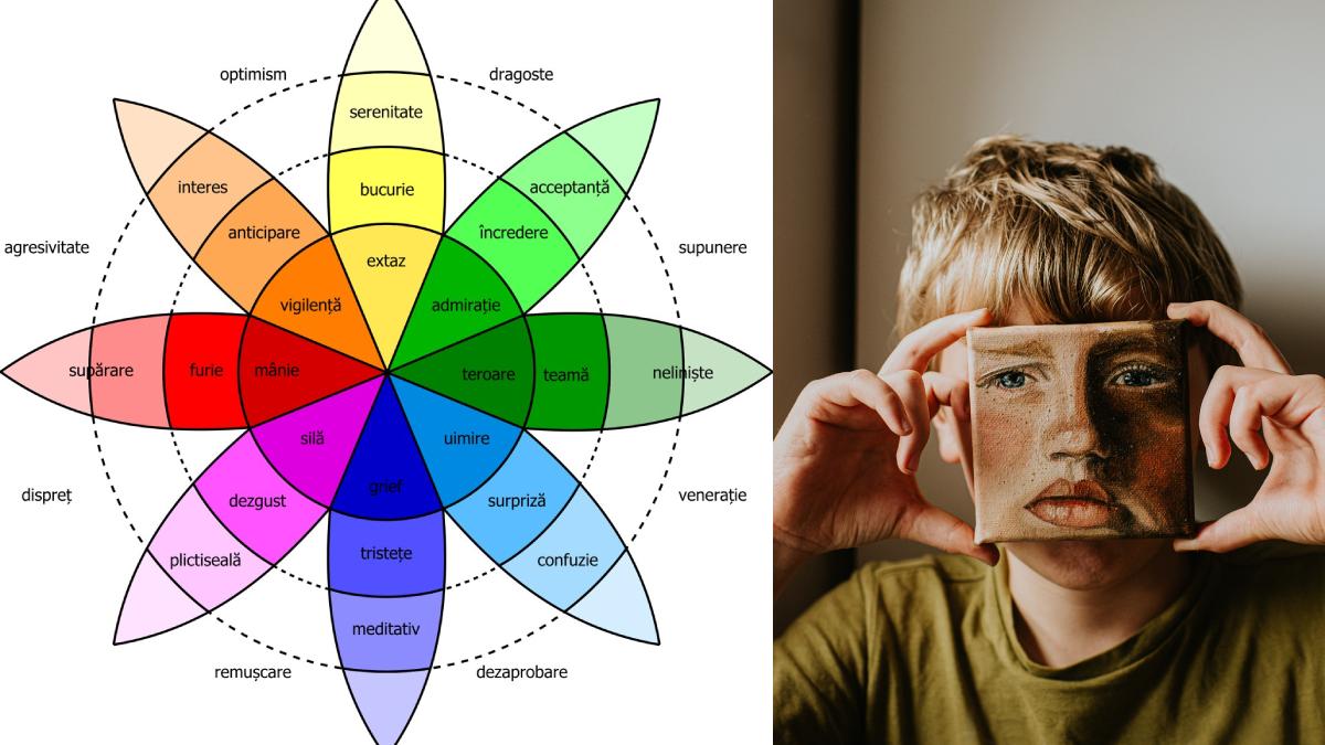 roata emotiilor si alfabetizarea emotionala de ce este important sa recunoastem ce simtim si cum ii invatam pe copii sa faca la fel