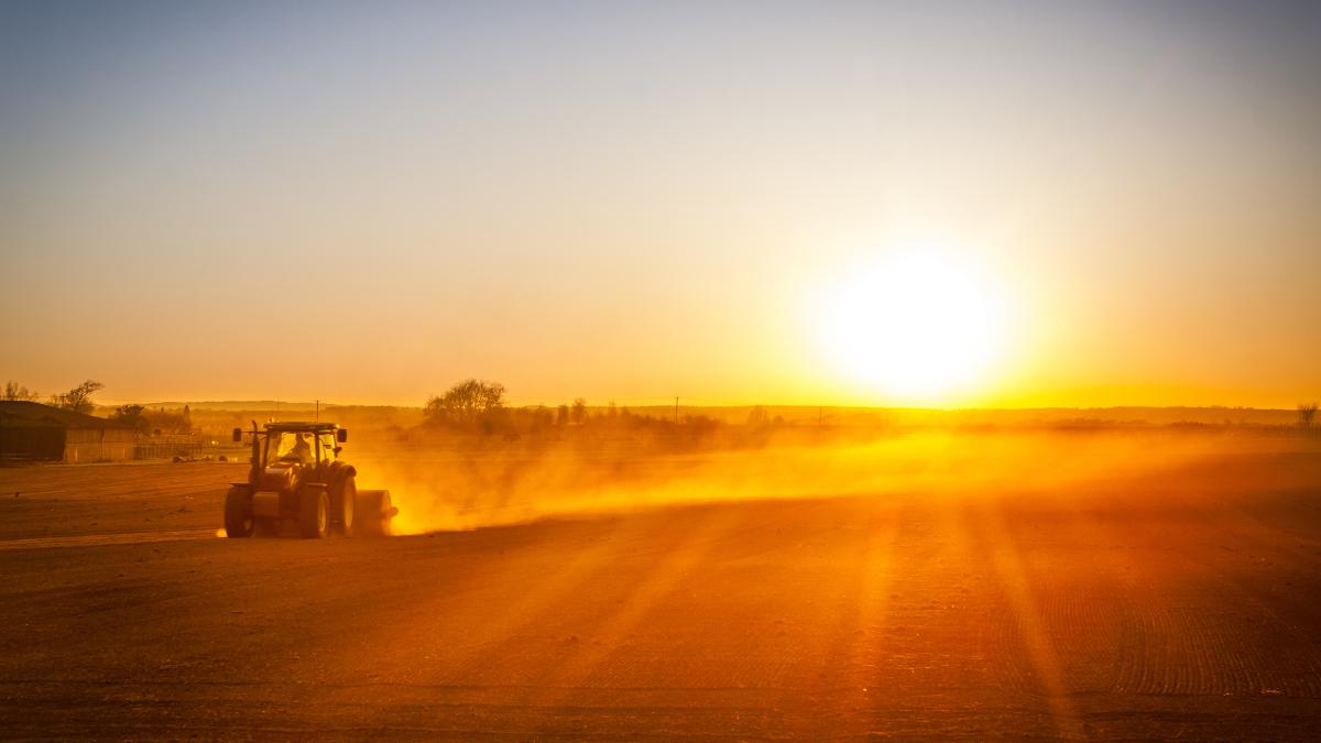 munca aici este un iad moartea unui culegator de flori a socat italia a cazut secerat pe camp la 40 de grade