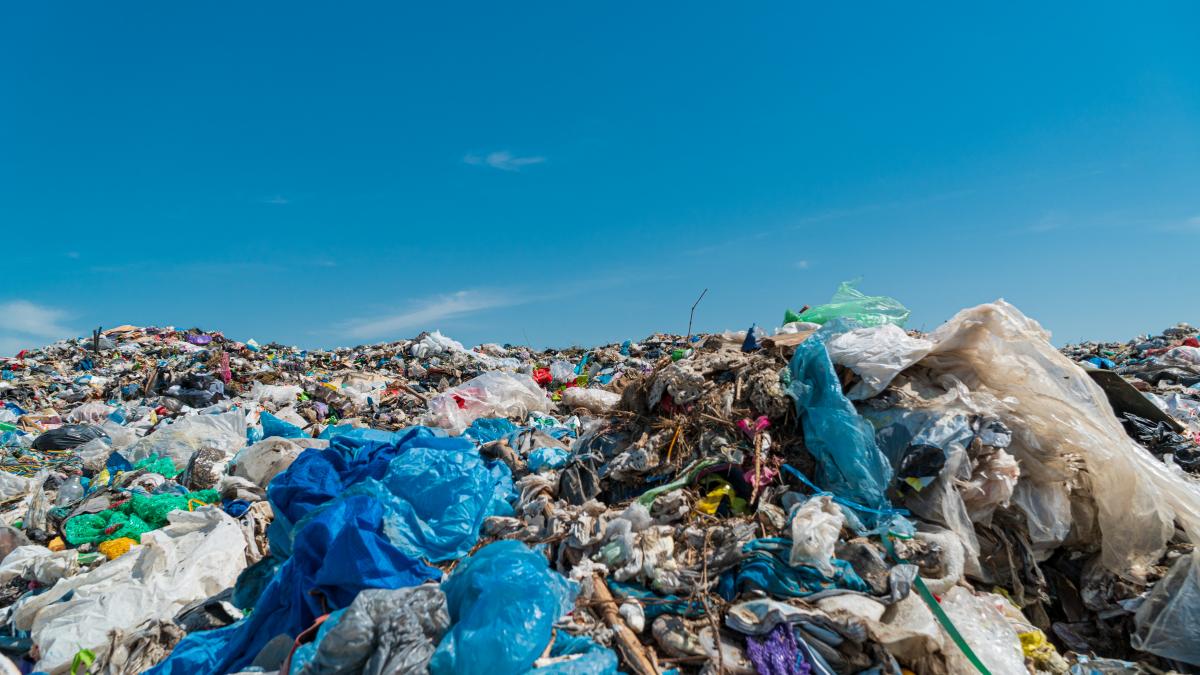 caz socant in maramures un bebelus a fost gasit mort la o groapa de gunoi