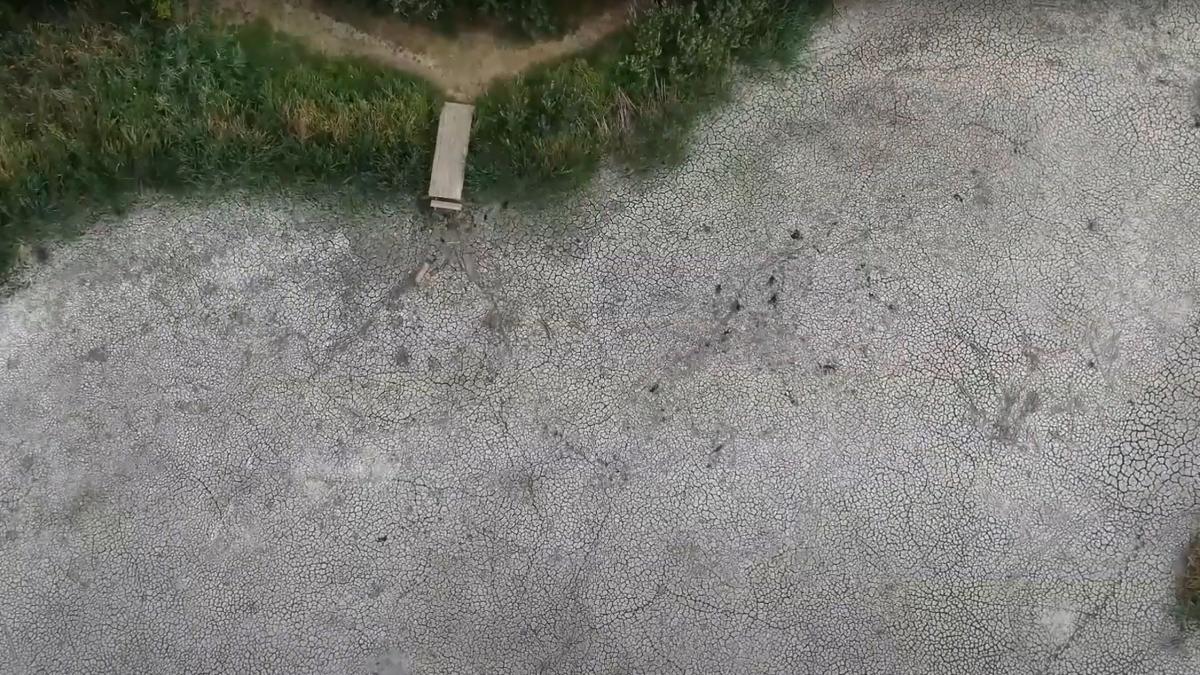 delta neajlovului din parcul natural comana a secat imagini dramatice din locul care era casa pentru 19 specii de pesti