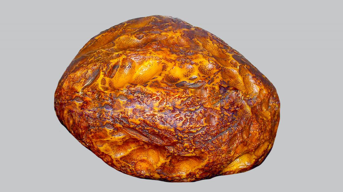 povestea incredibila a celei mai mari bucati de chihlimbar din lume a fost folosita de o batrana ca opritor de usa si ignorata de hoti