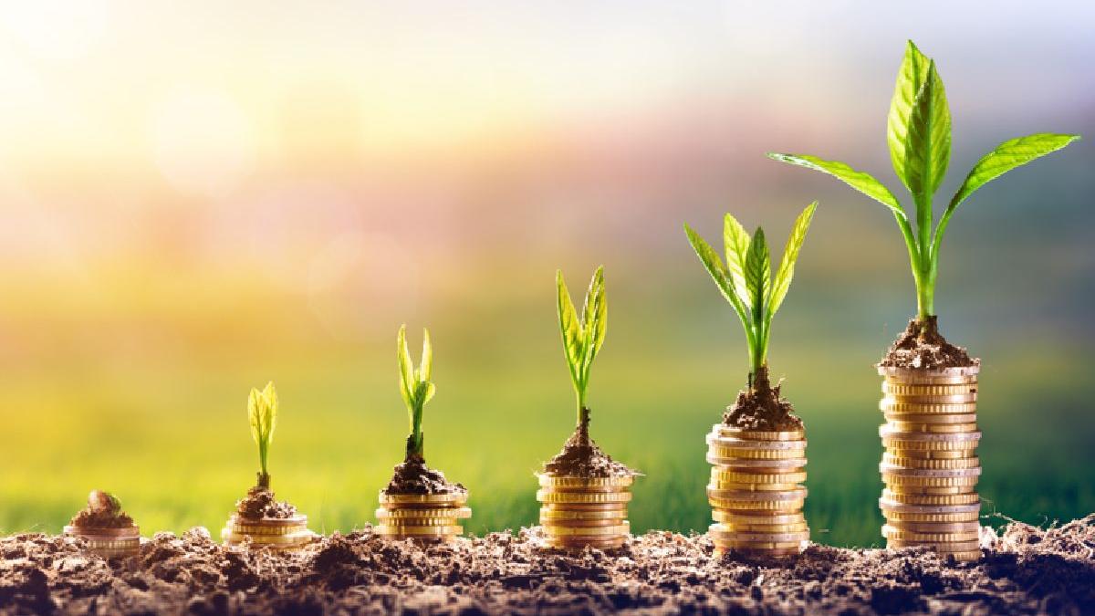 top 3 idei ce te vor ajuta sa detii o afacere sustenabila