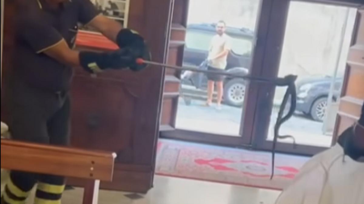 imagini virale cu un sarpe care a intrat intr o biserica si a provocat panica printre enoriasi