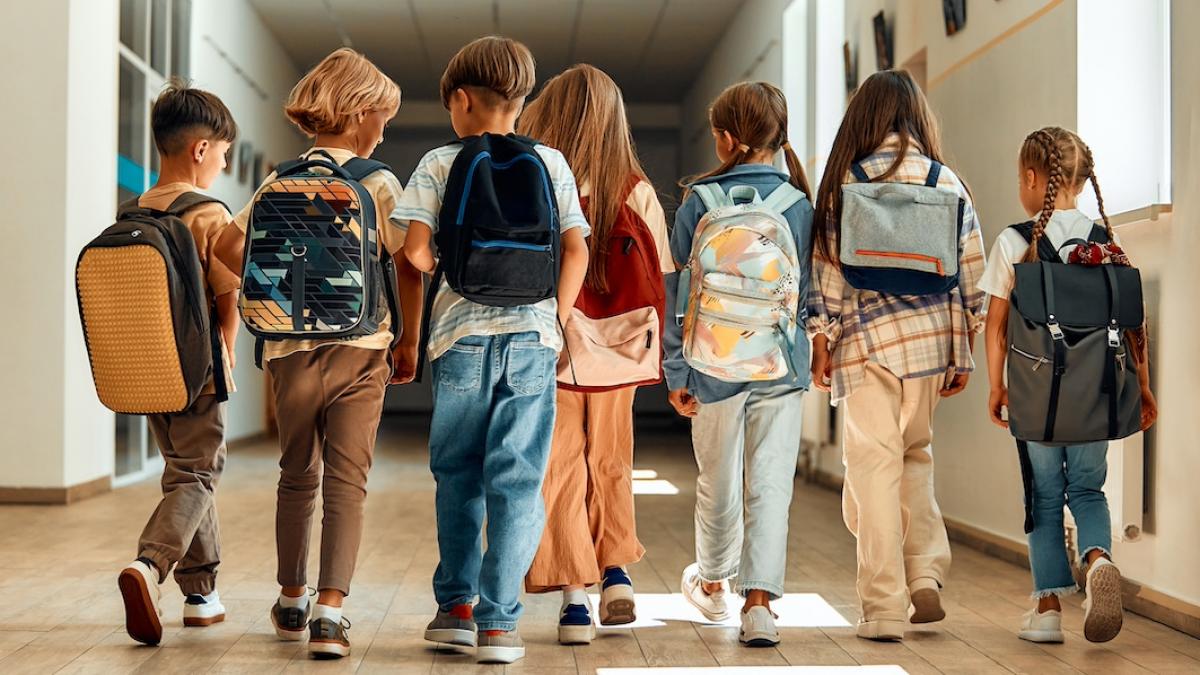 structura anului scolar 2024 2025 cate vacante vor avea elevii anul acesta