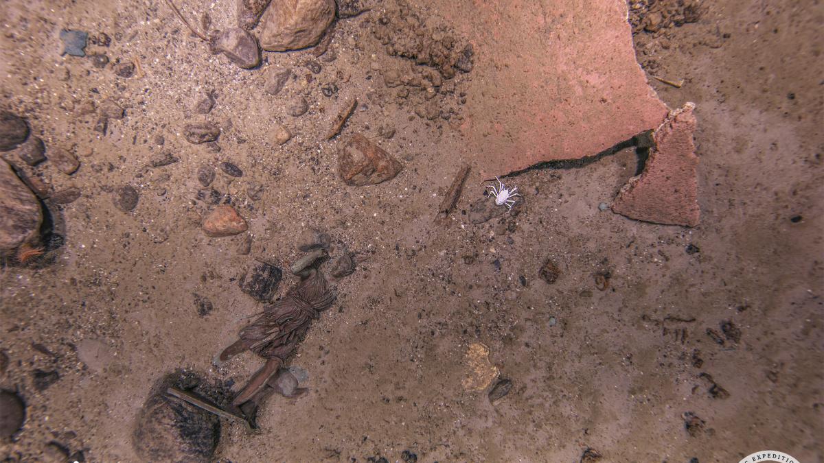 descoperire remarcabila in ocean a fost gasita diana din versailles piesa de rezistenta a salonului principal de pe titanic