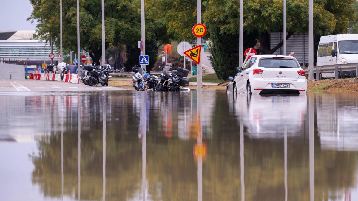 vremea rea a facut prapad in mallorca o turista britanica a fost gasita moarta iar un barbat e dat disparut
