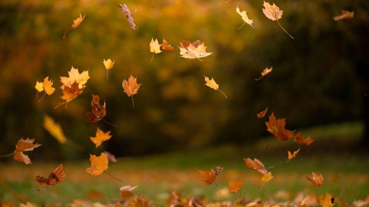 vremea se raceste in romania dupa saptamani intregi de temperaturi insuportabile