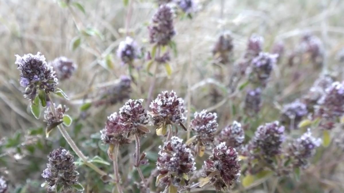 a dat inghetul in romania la inceput de septembrie unde s a inregistrat cea mai scazuta temperatura