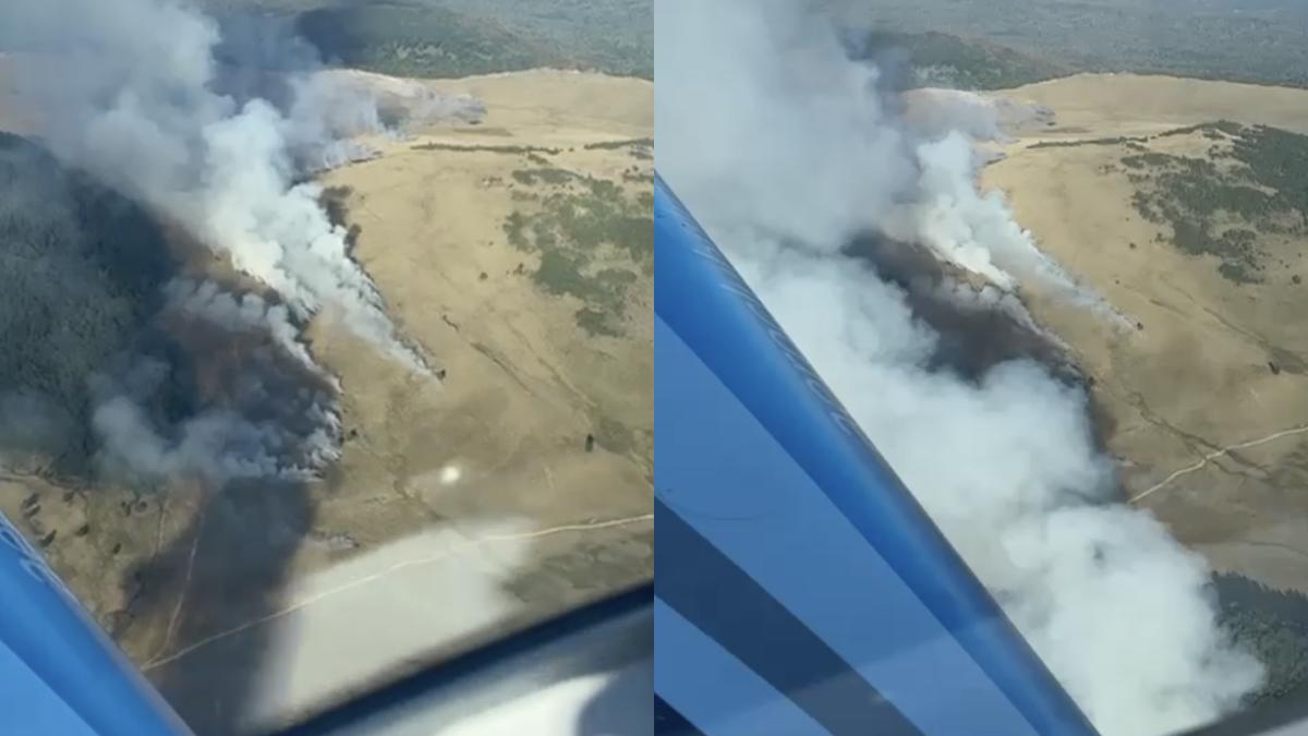 un nou incendiu de proportii in maramures ard mai multe hectare de vegetatie in muntii gutai spre localitatea desesti