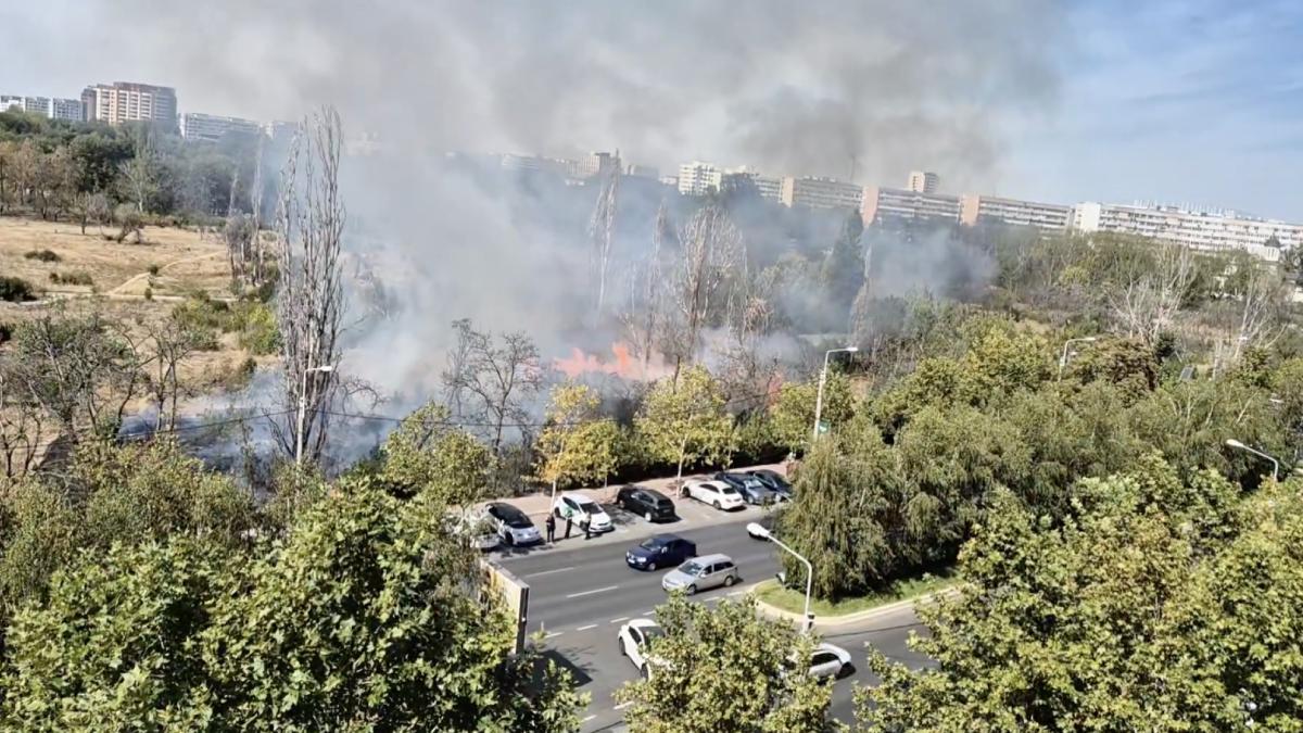 un nou incendiu puternic in parcul ior din bucuresti ard 10 000 mp de vegetatie pompierii intervin la fata locului