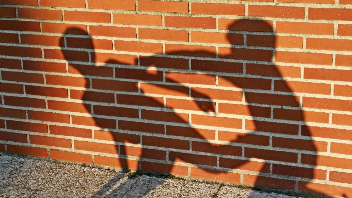 baiat taiat cu maceta in sectorul 6 bunica unuia dintre agresori trebuie sa plateasca daune morale de zeci de mii de euro