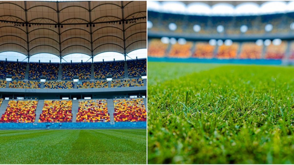 gazonul de pe arena nationala va fi schimbat nicusor dan gazon nou de tip hibrid la standarde uefa gazonul de pe arena nationala va fi schimbat nicusor dan gazon nou de tip hibrid la standarde uefa