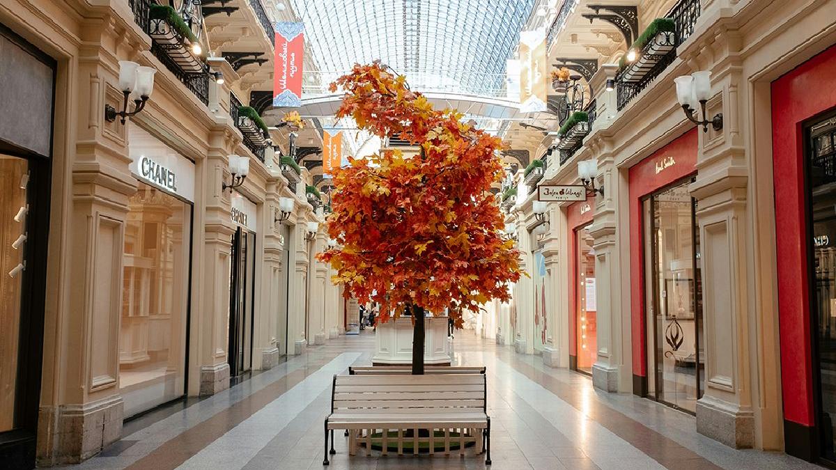 au inceput reducerile de toamna 2024 cele mai bune oferte si vouchere disponibile acum