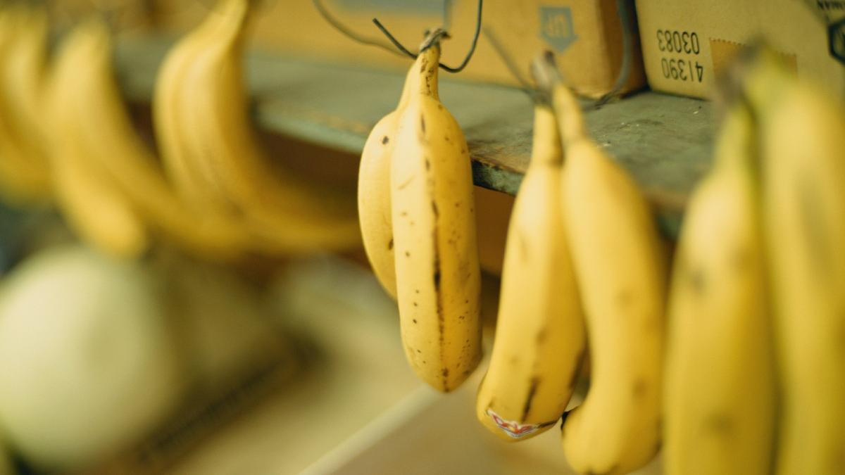 peste 40 de kilograme de cocaina au fost gasite in bananele livrate in supermarketurile din franta