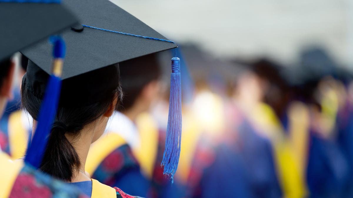 tinerii romani sustinuti de fundatia dan voiculescu pentru dezvoltarea romaniei ofera guvernului solutii pentru dezvoltarea tarii