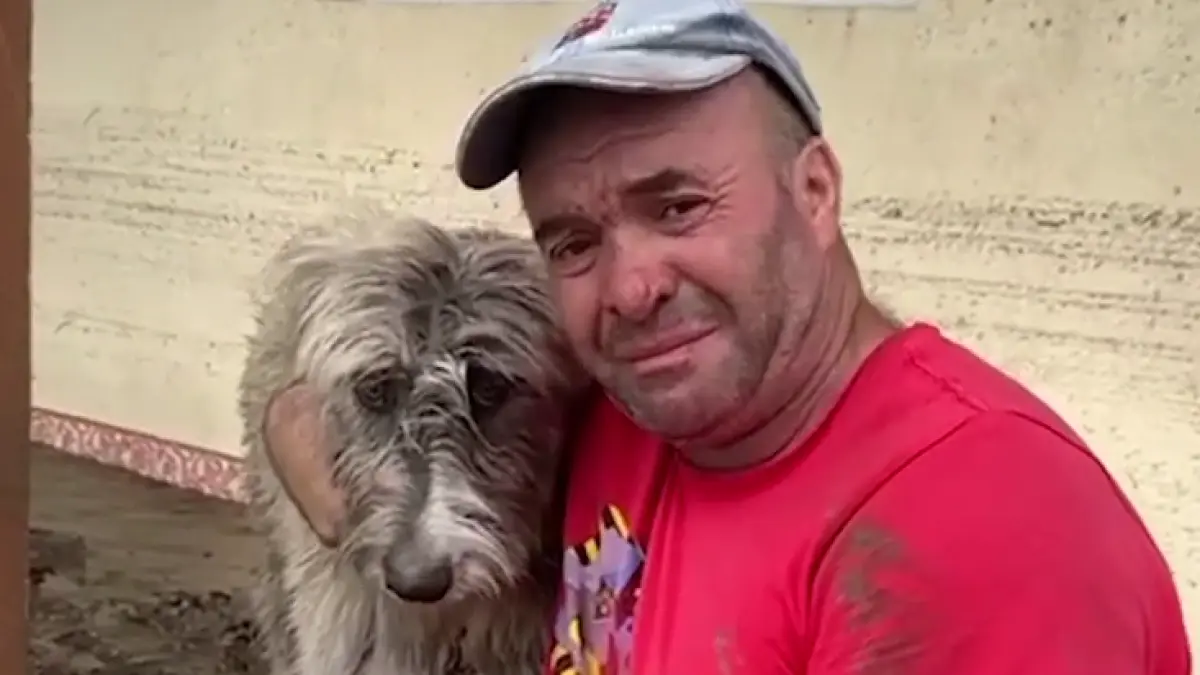 imagini emotionante intr o comuna din galati devastata de inundatii un barbat a izbucnit in lacrimi cand si a gasit cainele in viata