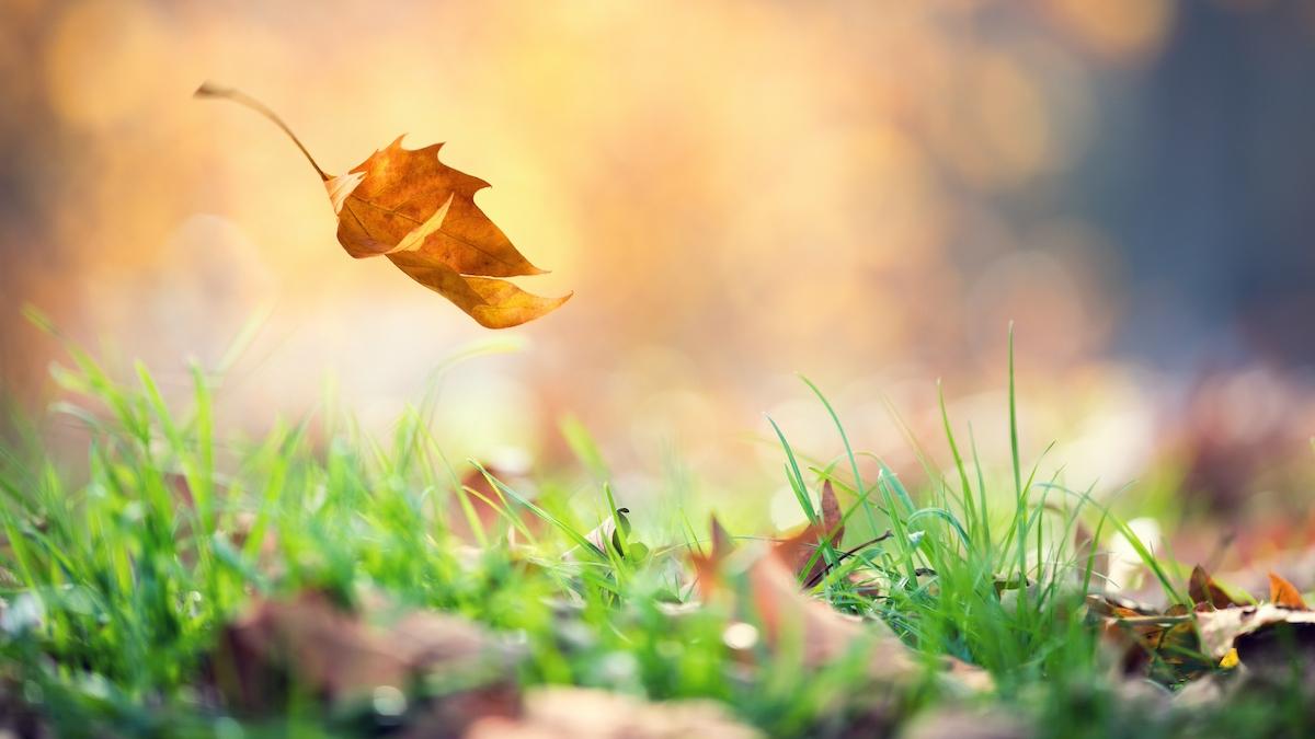 cum va fi vremea dupa frigul si ploile din ultimele zile