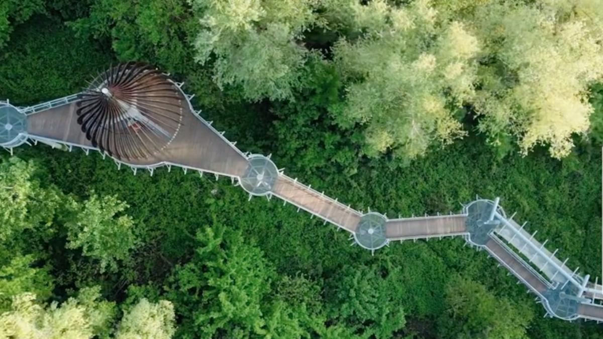 loc uluitor la numai o ora de arad aleea cununilor este spectaculoasa