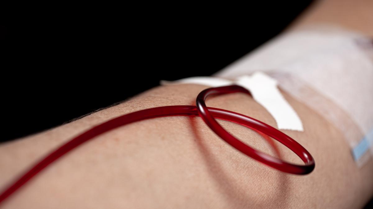 locuitorii din ludus nu mai au voie sa doneze sange in oras trebuie facuta dezinsectie contra west nile dar primaria nu are bani