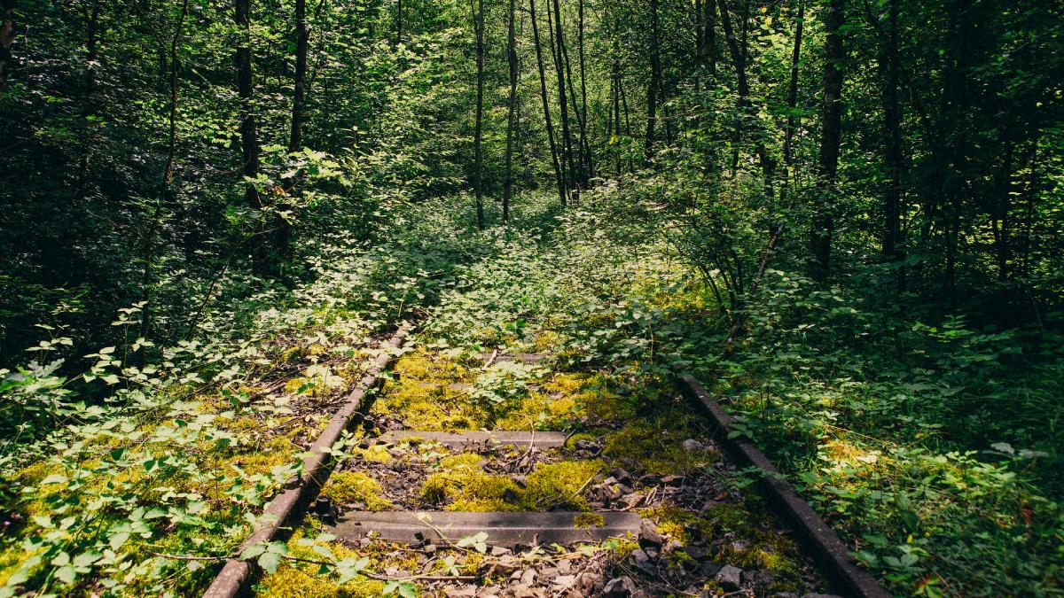 povestea localitatii din romania cu halta si cale ferata unde trenul nu a ajuns niciodata pacat de investitie